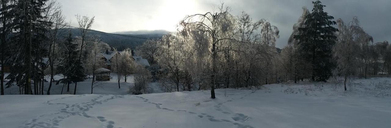Chwila Moment - Dom W Okolicy Czarnej Gory, Nad Rzeka Villa Stronie Slaskie Exterior photo